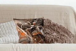 Kussenhoes 40x40 Cm - Acrylverf - Rood - Patronen - Katoen / Polyester - Voor Binnen 10 Kussenhoes 40x40 Cm - Acrylverf - Rood - Patronen - Katoen / Polyester - Voor Binnen -Pillowmonkey 1200x800 765