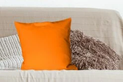 Kussenhoes 50x50 Cm - Oranje - Seizoenen - Herfst - Katoen / Polyester - Voor Binnen -Pillowmonkey 1200x800 793