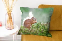 Kussenhoes 50x50 Cm - Eekhoorn - Bos - Mos - Katoen / Polyester - Voor Binnen -Pillowmonkey 1200x802 157