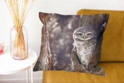 Sierkussens - Kussentjes Woonkamer - 60x60 Cm - Uil - Boom - Bos -Pillowmonkey 1200x802 191