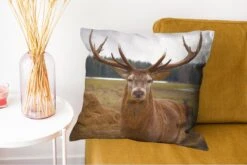 Sierkussen - Herten Natuur Weiland - Bruin - 50 Cm X 50 Cm -Pillowmonkey 1200x802 206