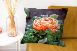 Sierkussen - Bloem Winter - Multicolor - 60 Cm X 60 Cm 13 Sierkussen - Bloem Winter - Multicolor - 60 Cm X 60 Cm -Pillowmonkey 1200x802 243