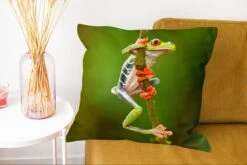 Sierkussens - Kussentjes Woonkamer - 60x60 Cm - Roodoogmakikikker In De Jungle -Pillowmonkey 1200x802 247