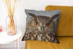 Sierkussens - Kussentjes Woonkamer - 45x45 Cm - Bruine Uil Met Lichtblauwe Achtergrond -Pillowmonkey 1200x802 271