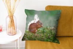 Sierkussen - Eekhoorn Bos Mos - Groen - 45 Cm X 45 Cm -Pillowmonkey 1200x802 292