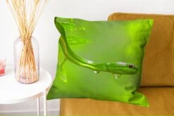 Sierkussens - Kussentjes Woonkamer - 60x60 Cm - Groene Slang Van Dichtbij -Pillowmonkey 1200x802 301