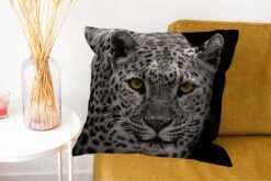 Sierkussens - Kussentjes Woonkamer - 60x60 Cm - Zwart-wit Foto Van Een Gekleurde Luipaard -Pillowmonkey 1200x802 303