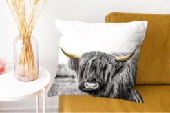 Kussenhoes 50x50 Cm - Schotse Hooglander - Goud - Gras - Zwart - Wit - Katoen / Polyester - Voor Binnen -Pillowmonkey 1200x802 36