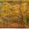 Kussenhoes 60x40 Cm - Gouden Bladeren In De Bossen Van Het Engelse Nationaal Park New Forest - Katoen / Polyester - Voor Binnen -Pillowmonkey 1200x803 20