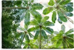 Kussenhoes 60x40 Cm - Bomen En Bladeren In Jungle - Katoen / Polyester - Voor Binnen