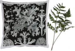 Sierkussens - Kussentjes Woonkamer - 40x40 Cm - Mos - Botanisch - Vintage - Zwart Wit - Schimmel Tekening