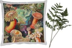 Sierkussens - Kussentjes Woonkamer - 60x60 Cm - Ernst Haeckel - Anemoon - Retro - Natuur - Planten - Zee