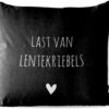 Buitenkussen Weerbestendig - Nederlandse Quote: 'Last Van Lente Kriebels' Op Zwarte Achtergrond - 50x50 Cm 1 Buitenkussen Weerbestendig - Nederlandse Quote: 'Last Van Lente Kriebels' Op Zwarte Achtergrond - 50x50 Cm -Pillowmonkey 1200x979 43