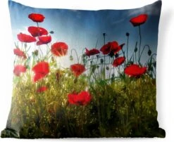 Buitenkussens - Tuin - Lange Rode Klaprozen In Toscane Op Een Zonnige Dag - 60x60 Cm