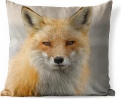 Buitenkussens - Tuin - Portretfoto Rode Vos - 40x40 Cm