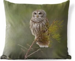 Buitenkussens - Tuin - Bruine Uil Op Een Dun Takje - 45x45 Cm