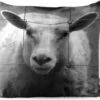 Buitenkussens - Tuin - Schaap Bij Een Hek In Zwart-wit - 45x45 Cm -Pillowmonkey 1200x979 62