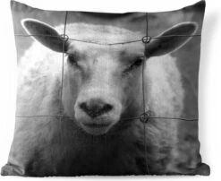 Buitenkussens - Tuin - Schaap Bij Een Hek In Zwart-wit - 45x45 Cm