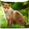 Buitenkussens - Tuin - Rode Vos In Zonlicht - 40x40 Cm -Pillowmonkey 1200x979 75