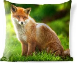 Buitenkussens - Tuin - Rode Vos In Zonlicht - 40x40 Cm