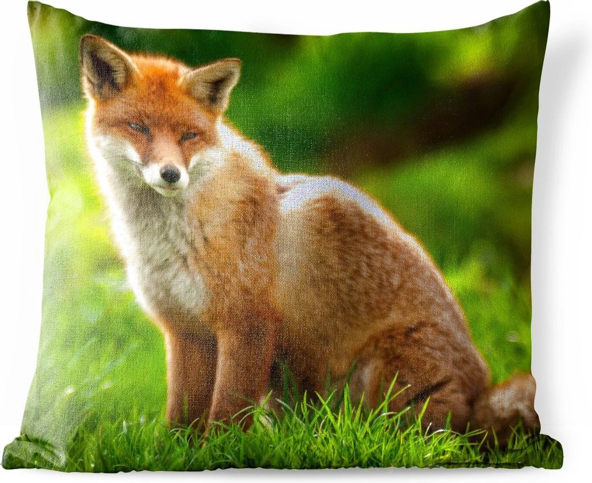 Buitenkussens - Tuin - Rode Vos In Zonlicht - 40x40 Cm 3 Buitenkussens - Tuin - Rode Vos In Zonlicht - 40x40 Cm