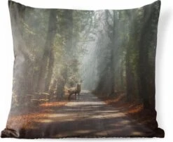 Buitenkussens - Tuin - Hert Op De Weg In Het Bos - 40x40 Cm