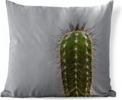 Buitenkussens - Tuin - Cactus Botanische Print - 45x45 Cm
