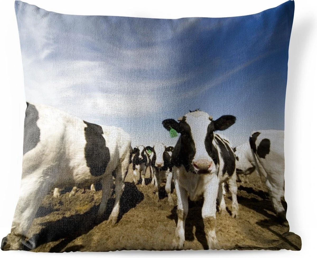 Sierkussen Friese Koe Voor Buiten - Een Grote Kudde Friese Koeien - 45x45 Cm - Vierkant Weerbestendig Tuinkussen / Tuinmeubelkussen Van Polyester 3 Sierkussen Friese Koe Voor Buiten - Een Grote Kudde Friese Koeien - 45x45 Cm - Vierkant Weerbestendig Tuinkussen / Tuinmeubelkussen Van Polyester