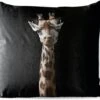 Buitenkussens - Tuin - Giraffe Met Bril Op Zwarte Achtergrond - 45x45 Cm