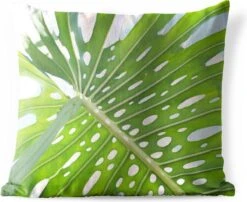 Buitenkussens - Tuin - Een Groen Botanisch Blad In De Zon - 60x60 Cm