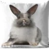 Buitenkussens - Tuin - Zittend Konijn Fotoafdruk - 50x50 Cm -Pillowmonkey 1200x984