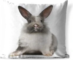 Buitenkussens - Tuin - Zittend Konijn Fotoafdruk - 50x50 Cm